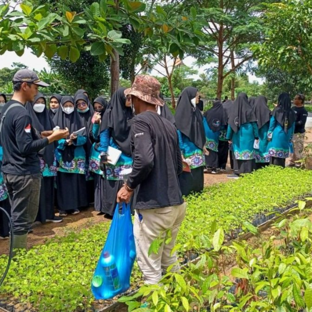 RAJAPOLA: Melaksanakan penyusunan rencana perbenihan dan pembibitan pengelolaan sumber benih pemantauan peredaran distribusi benih dan bibit tanaman hutan penyajian informasi perbenihan dan pembibitan dengan sempurna resmi terpercaya.                   